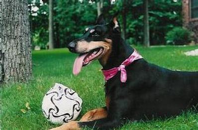 Rci With Tree and Ball