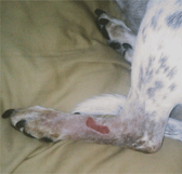 15 Days After Surgery - December 8, 2010