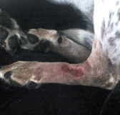 11 Days After Surgery - December 5, 2010
