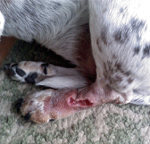 5 Days After Surgery - November 29, 2010