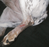 21 Days After Surgery - December 14, 2010
