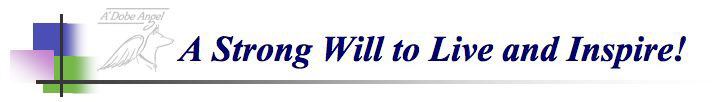 A Strong Will to Live and Inspire!